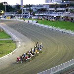 Gloucester Park Harness Racing